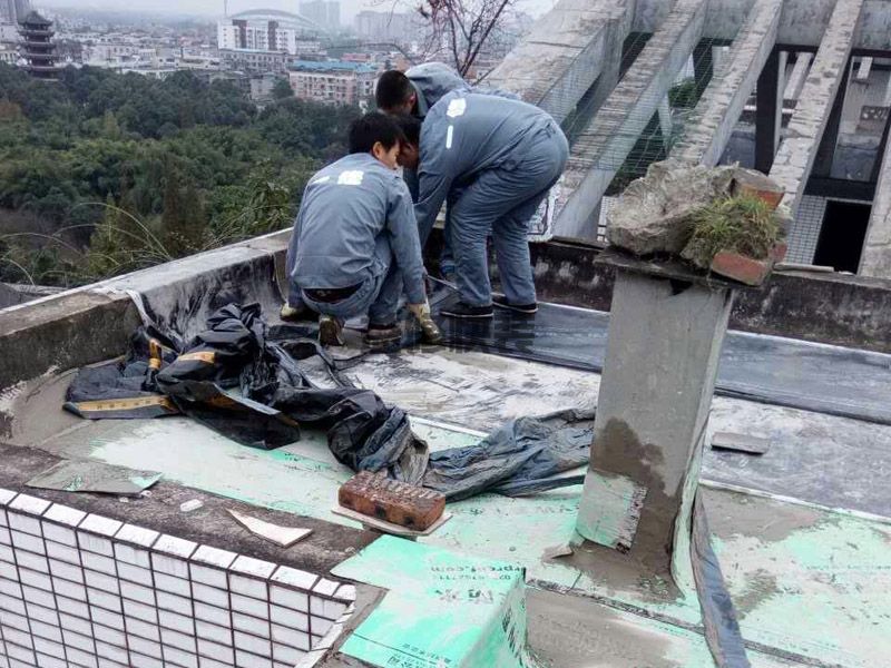 灞橋區防水堵漏施工價格_西安灞橋區衛生間防水維修公司有哪些(圖3)