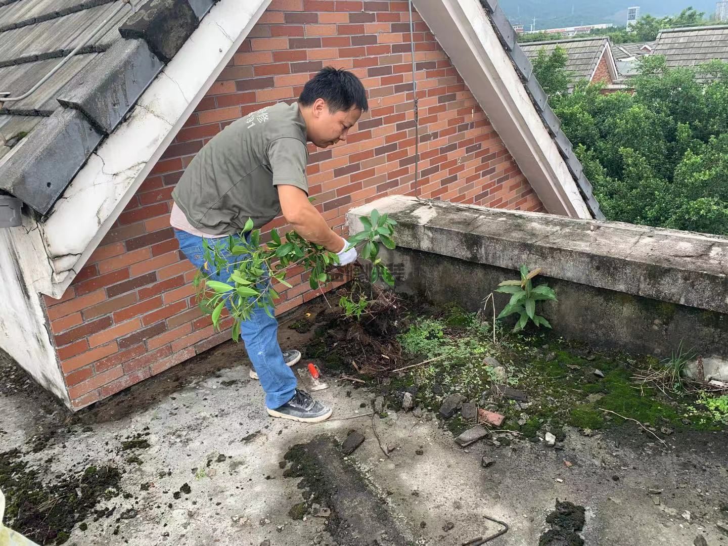 老樓的房頂漏雨，一到下雨天苦不堪言，求支招